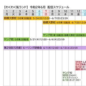 スケジュール