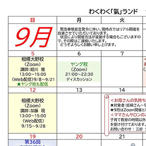 スケジュール